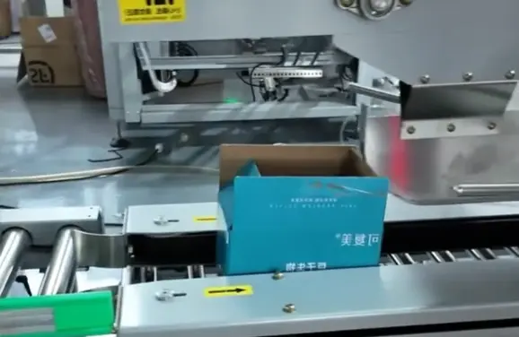 Filled-cases-arrive-at-the-infeed-of-the-Case-Taper-from-the-upstream-conveyor-1